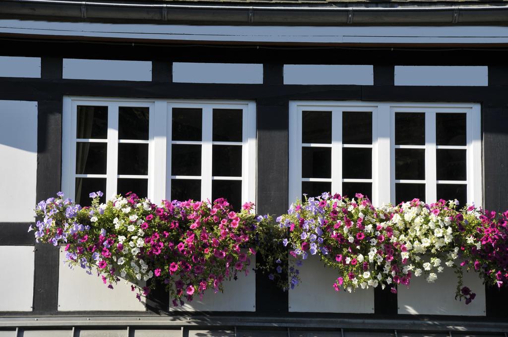 Landidyll Hotel Haus Hochstein Еслое Екстер'єр фото